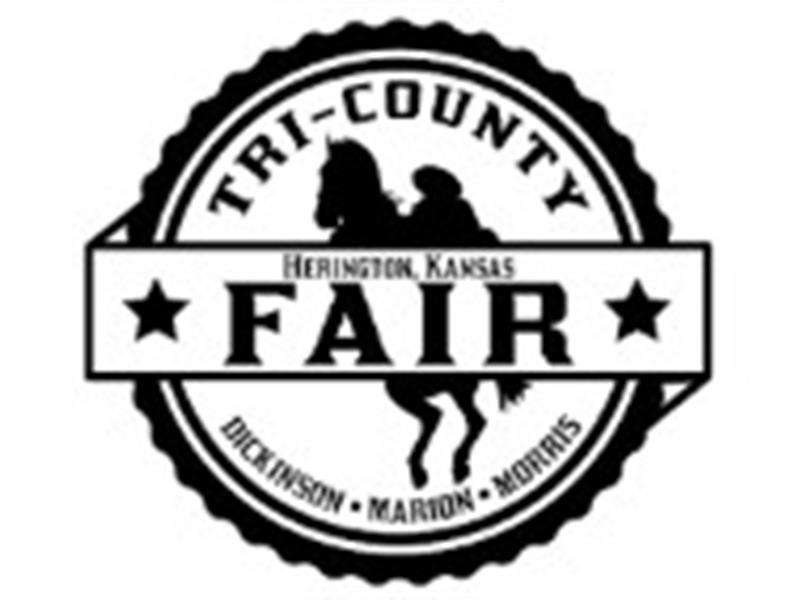 Fair Logo